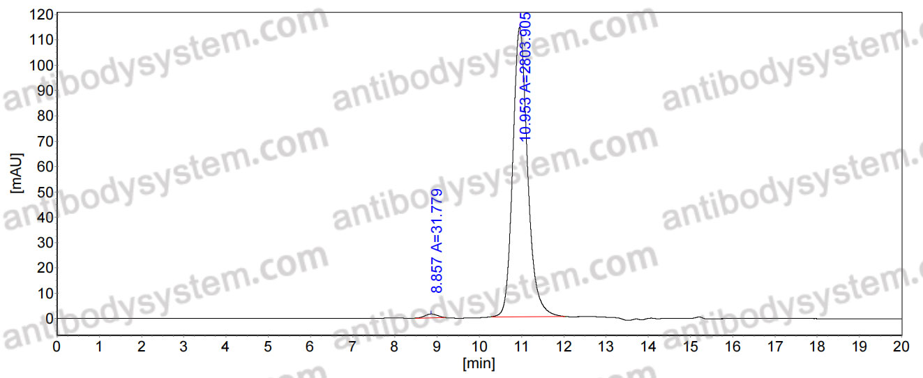 Anti-HHV-5/HCMV UL130 Antibody (8I21#)