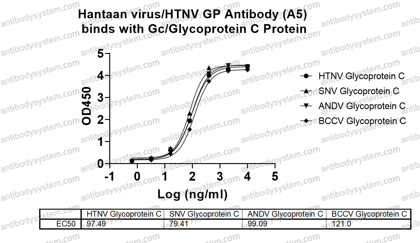 Anti-Hantaan virus/HTNV GP Antibody (A5)