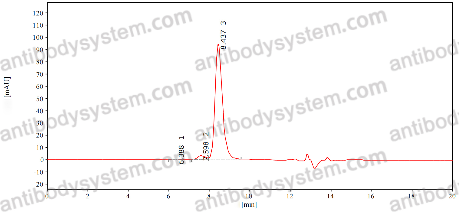SEC-HPLC for Anti-ToBRFV Capsid protein Antibody (SAb2555) ?>