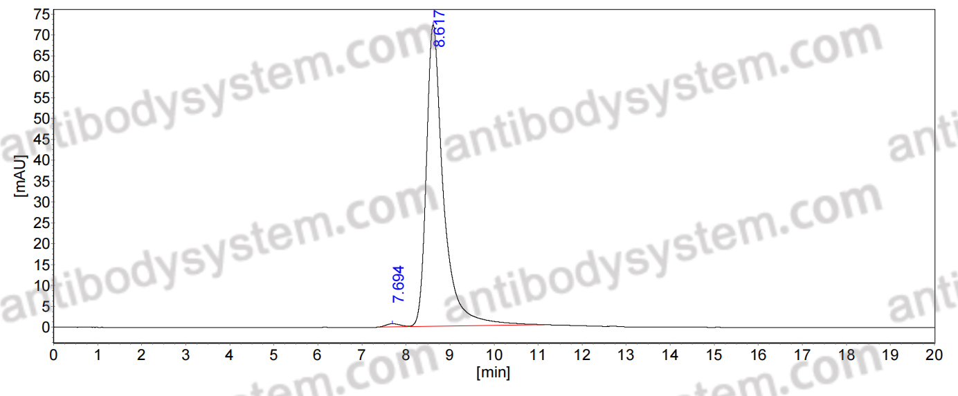 SEC-HPLC for Anti-ToBRFV Capsid protein Antibody (SAb2556) ?>