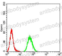 Anti-CPV2 NS1 Antibody (R4D79)
