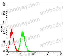 Anti-Human herpesvirus UL37 Antibody (R4A68)
