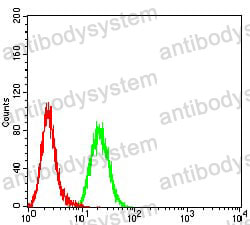 Anti-Human herpesvirus UL37 Antibody (R4A69)