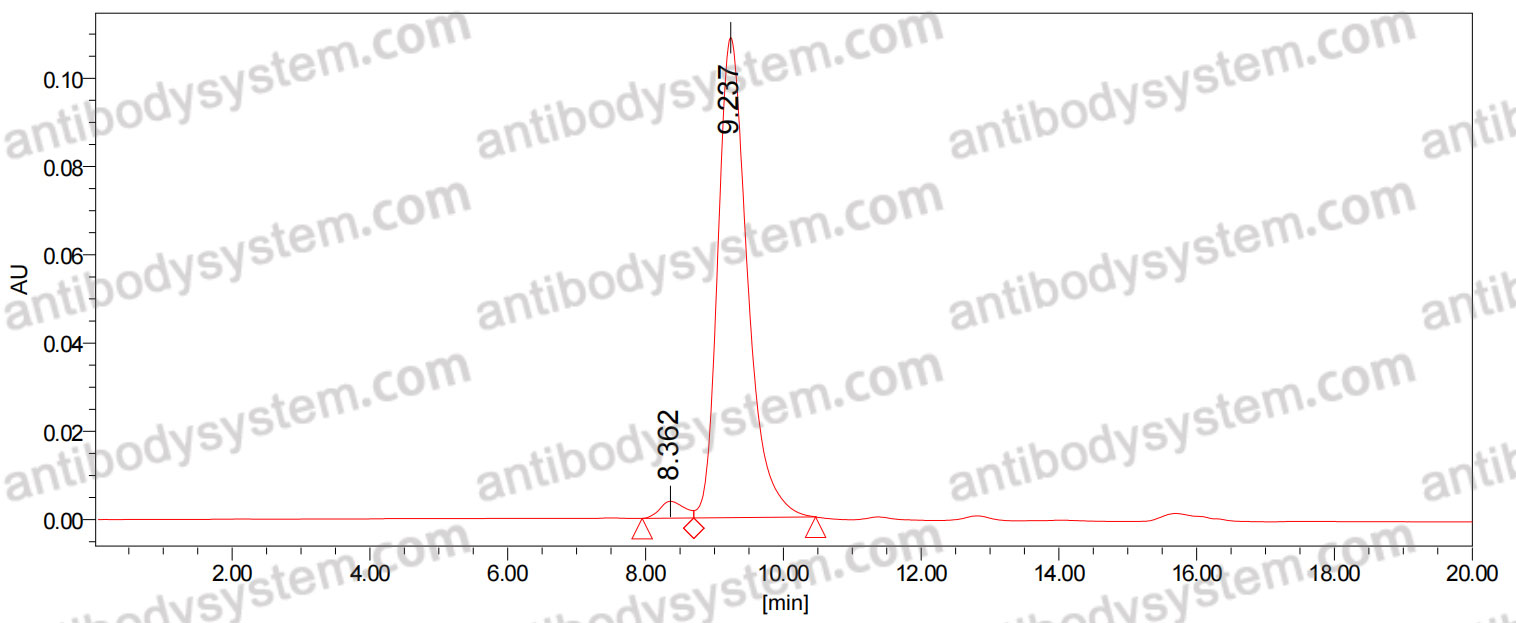 Anti-LPS/Lipopolysaccharide Antibody (SAA0584)