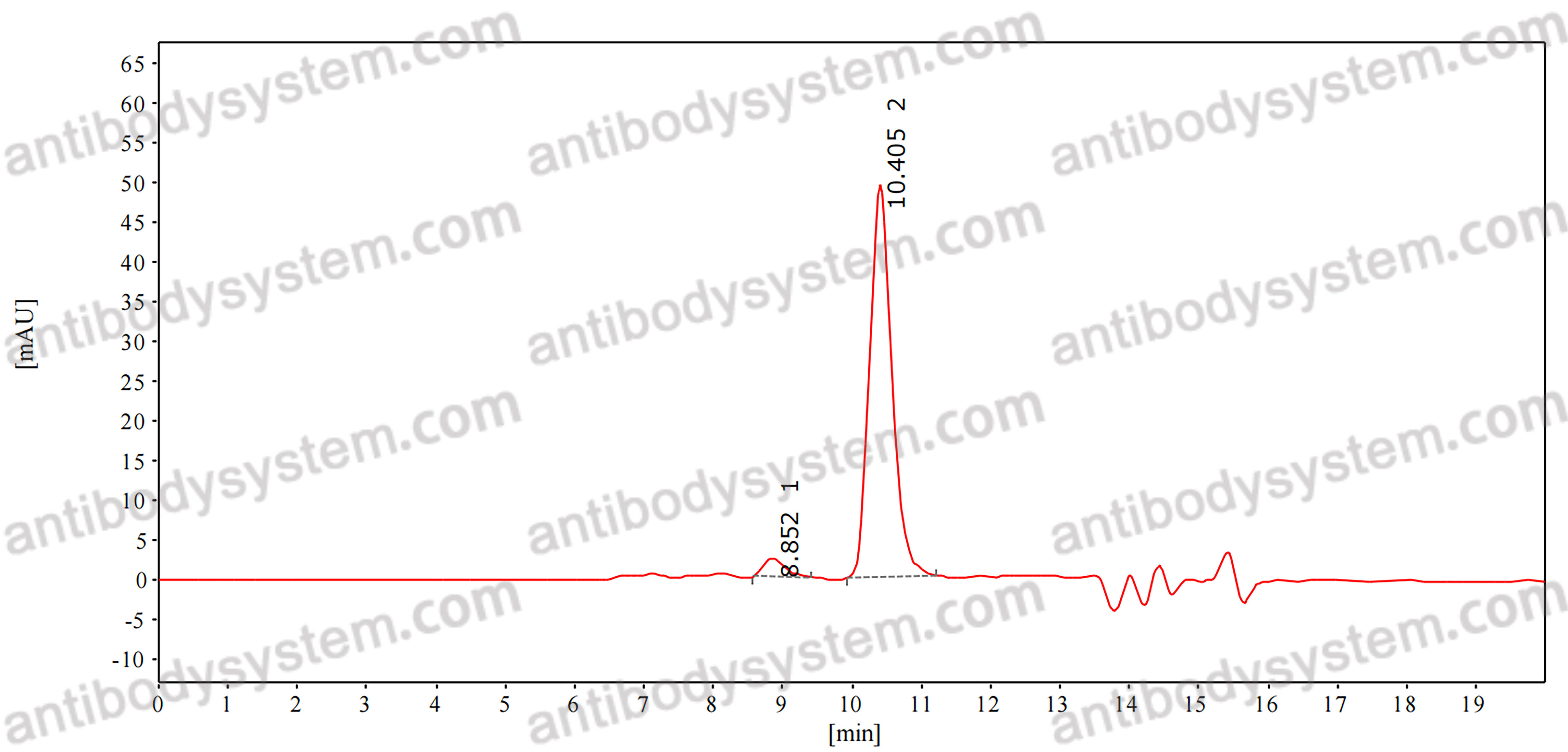 Anti-Bordetella pertussis fhaB/FHA Antibody (T5)