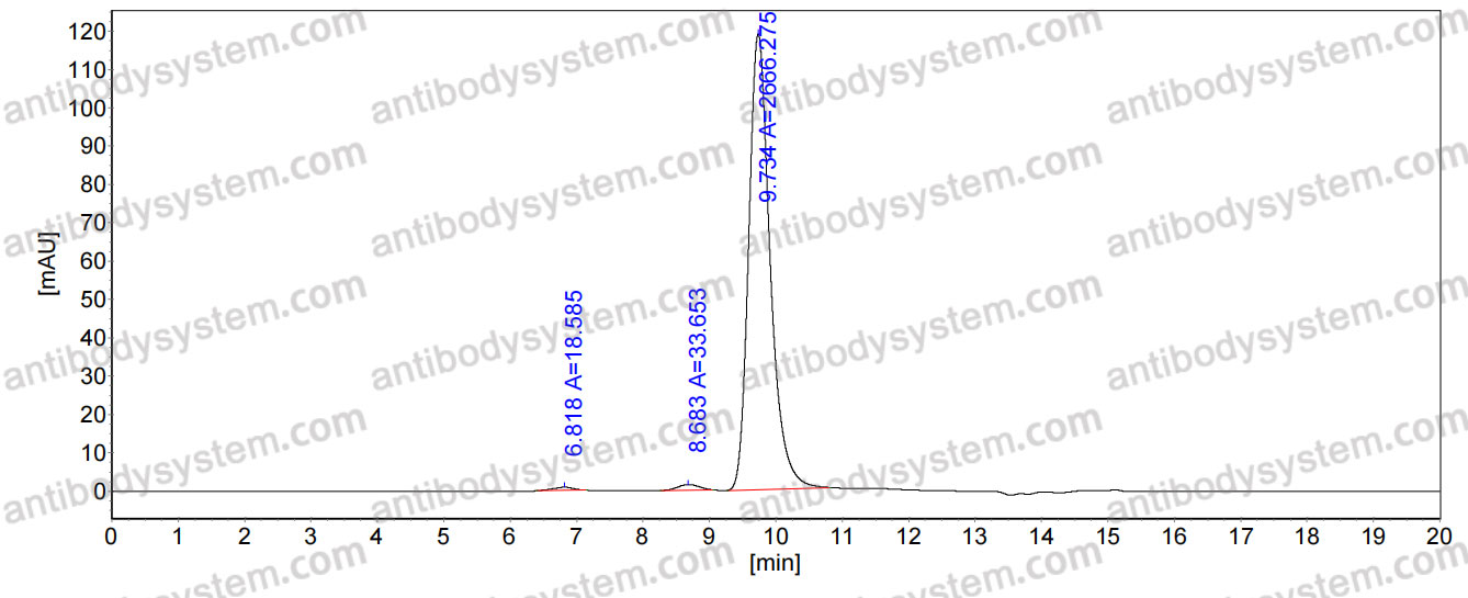 Anti-Neisseria meningitidis NHBA/Dextranase Antibody (10C3)