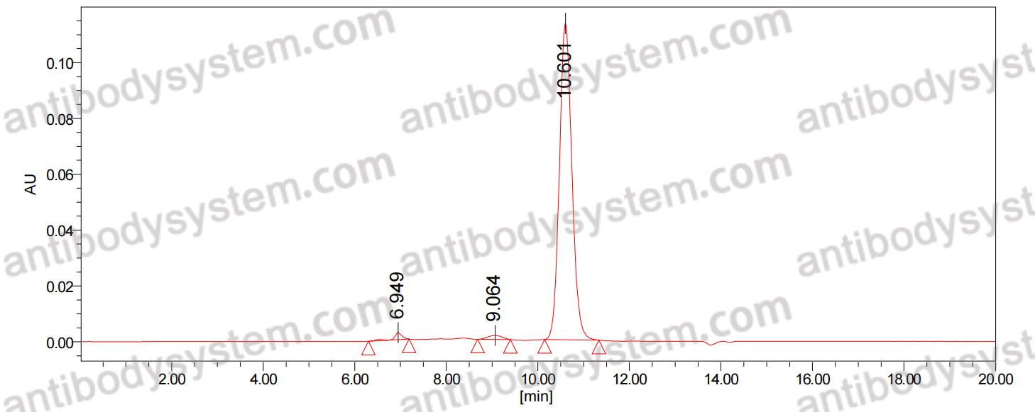 Anti-Brucella A antigen Antibody (YsT9.1)