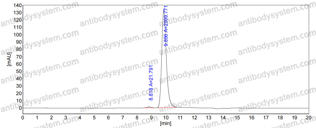 Mouse Anti-Brucella A antigen Antibody (YsT9.1)