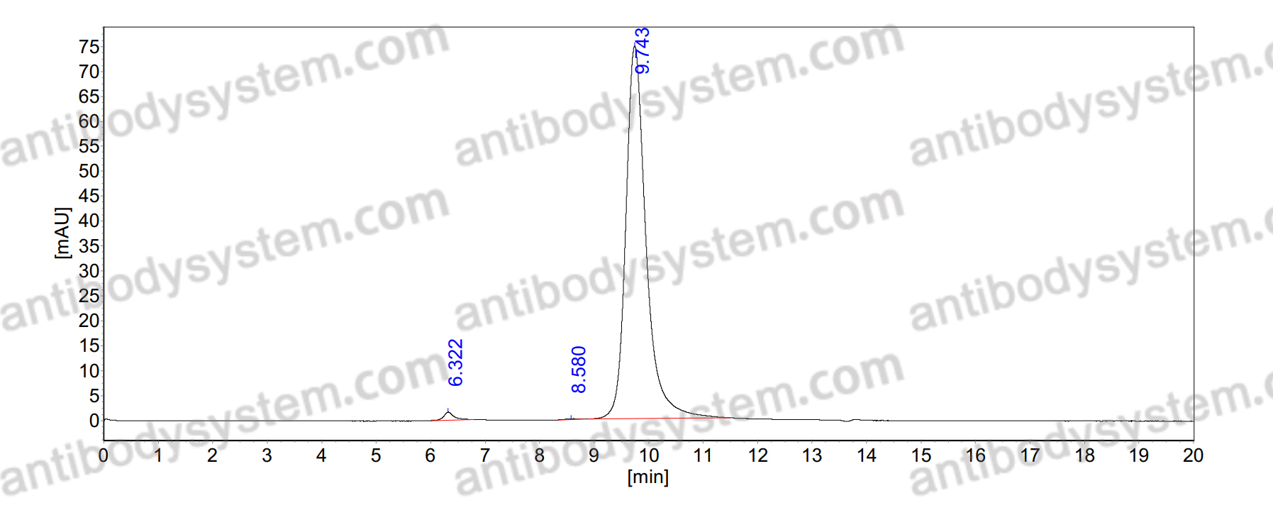 Anti-Helicobacter pylori ureB/Urease subunit beta Antibody (HpU-20)