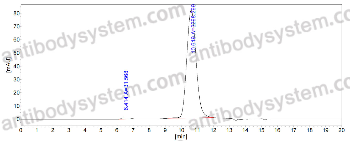 Anti-Helicobacter pylori vacA Antibody (N06-D1)