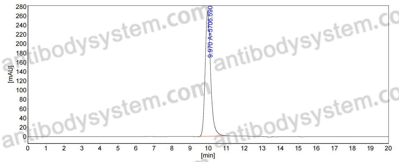 Anti-Mycobacterium tuberculosis LAM Antibody (SAb2287)