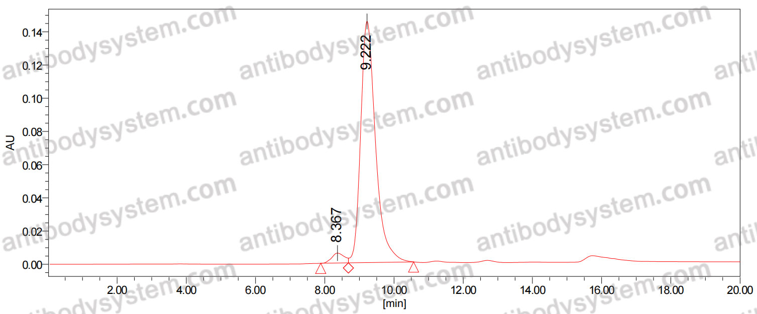 Anti-Plasmodium falciparum MSA2/MSP2 Antibody (6D8)