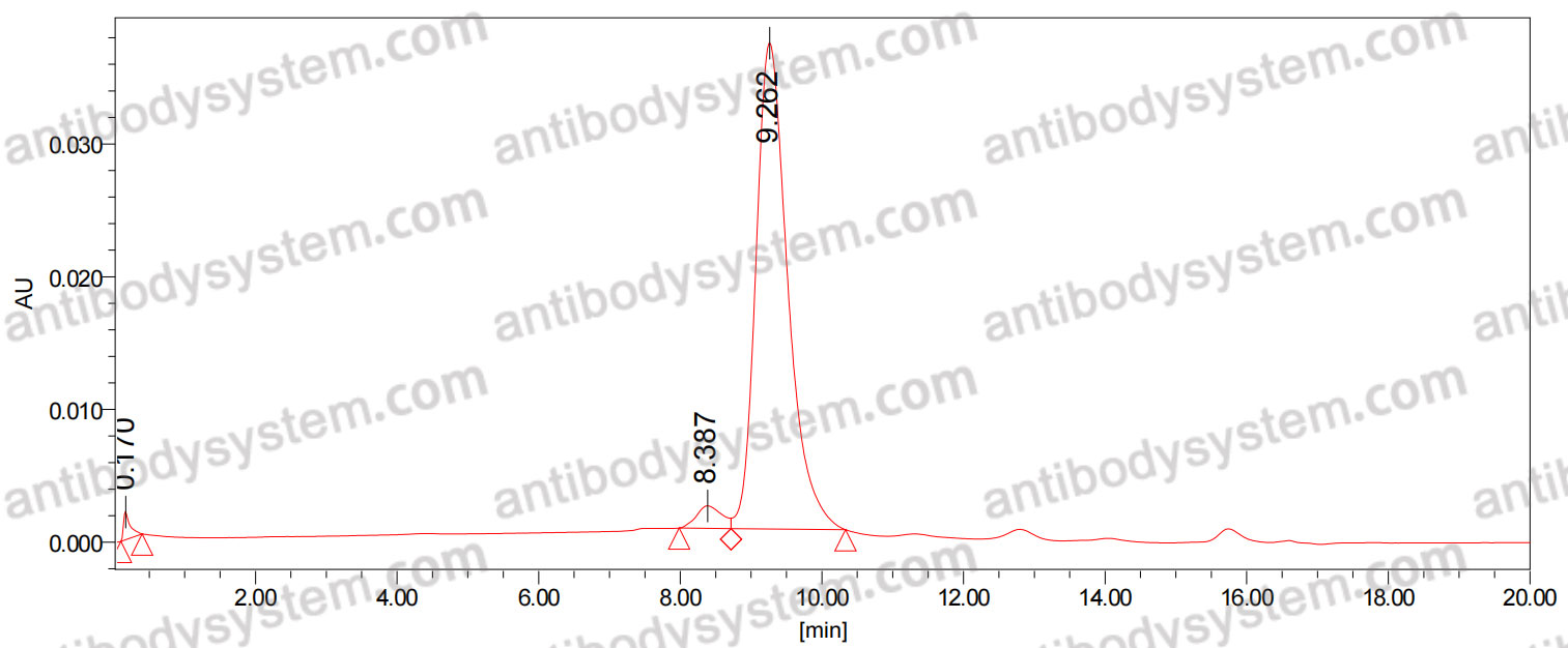 Anti-Gaussia Luciferase Antibody (SAA1380)