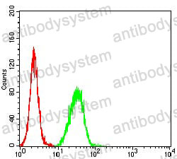 Anti-Toxoplasma gondii rhoptry SAG2 Antibody (R4D84)