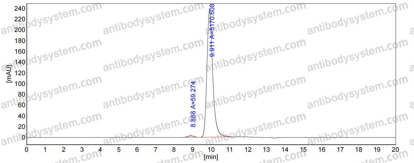 Mouse Anti-Plasmodium berghei CSP Antibody (SAb2279)
