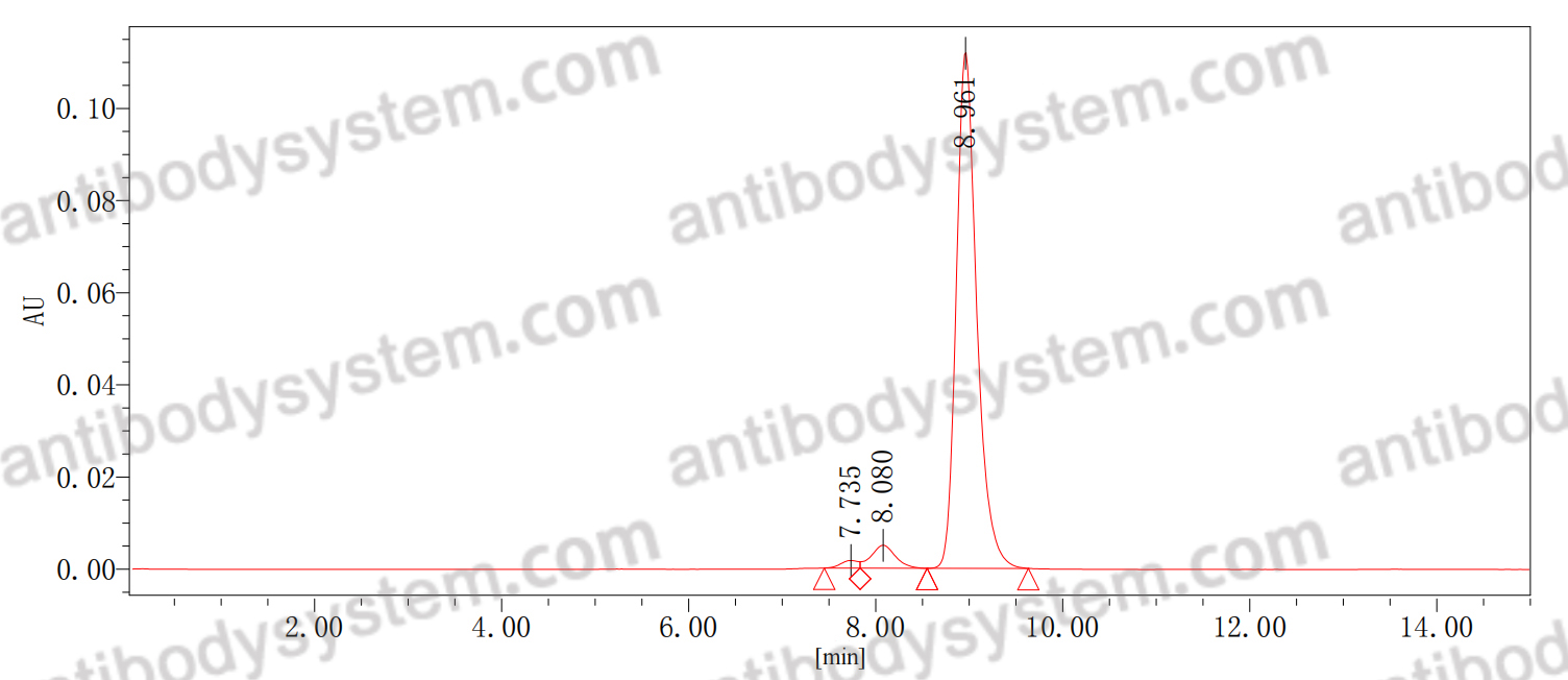 Anti-Human MIF Neutralizing Antibody (Fs0520)