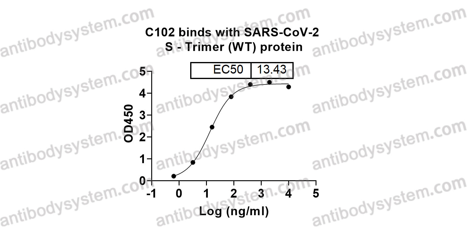 InVivoMAb Anti-SARS-CoV-2 RBD (S 6P trimer) Antibody (C102)