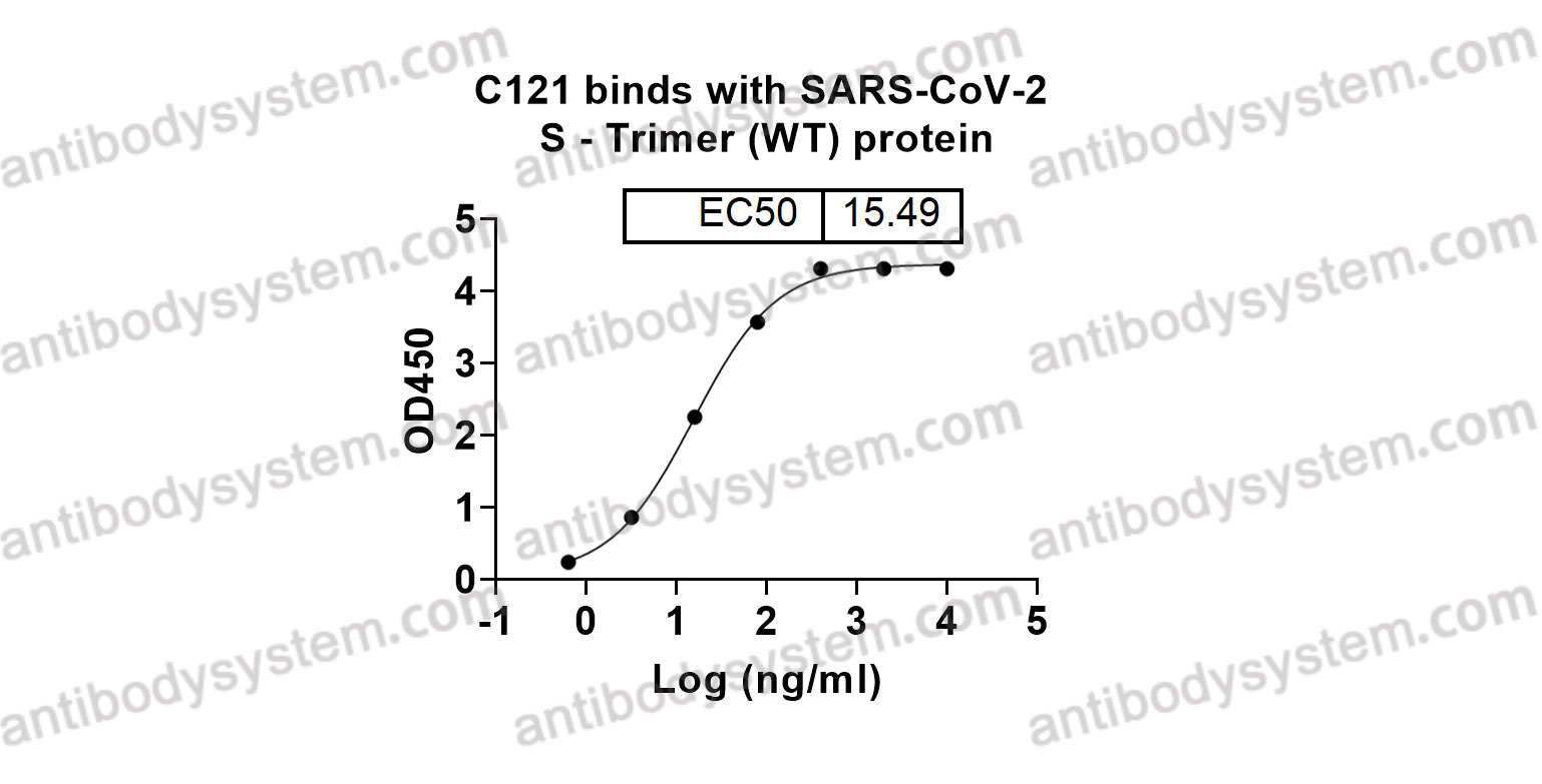 InVivoMAb Anti-SARS-CoV-2 RBD Antibody (C121)