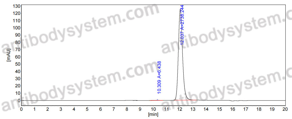 InVivoMAb Anti-SARS-CoV-2 S2 Protein Antibody (S2P6)