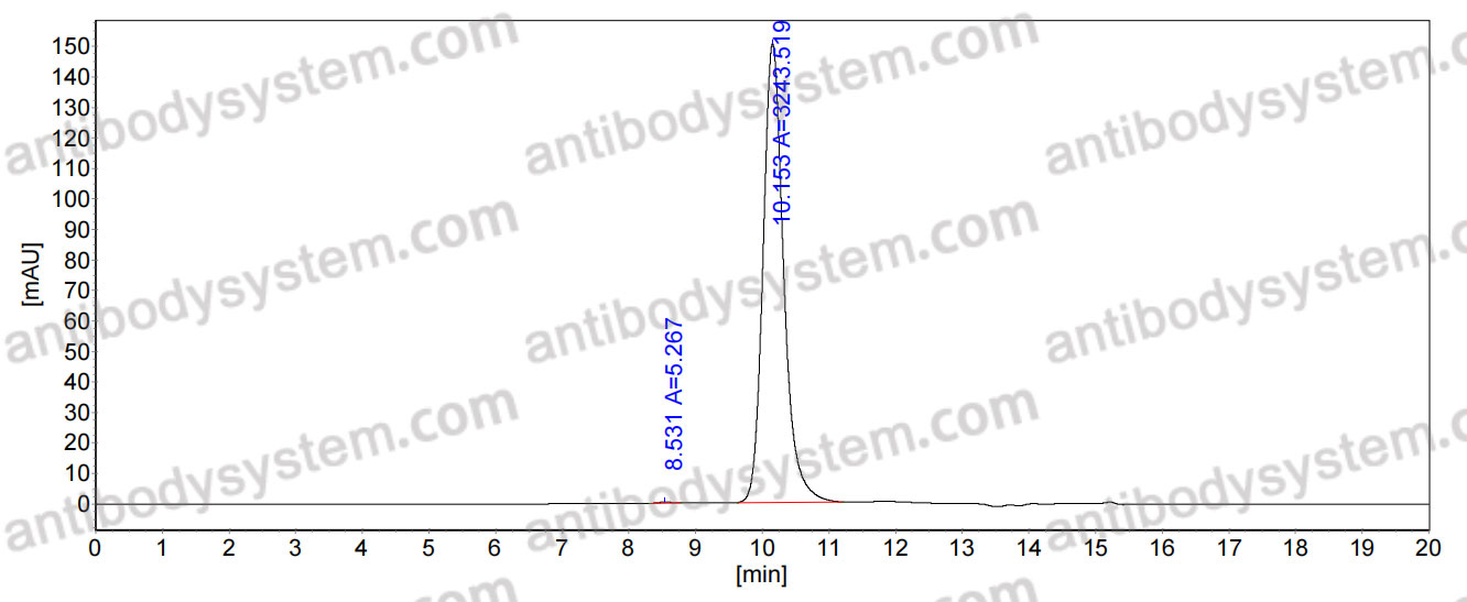 InVivoMAb Anti-HRSV G/Major surface glycoprotein G Antibody (3G12)