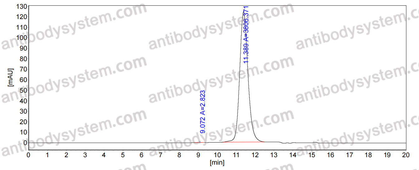 InVivoMAb Anti-HCV E1 & E2 Complex Antibody (AR4A)