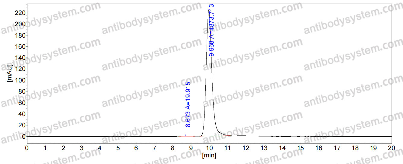 InVivoMAb Anti-hMPV Pre-F Antibody (MPV458)