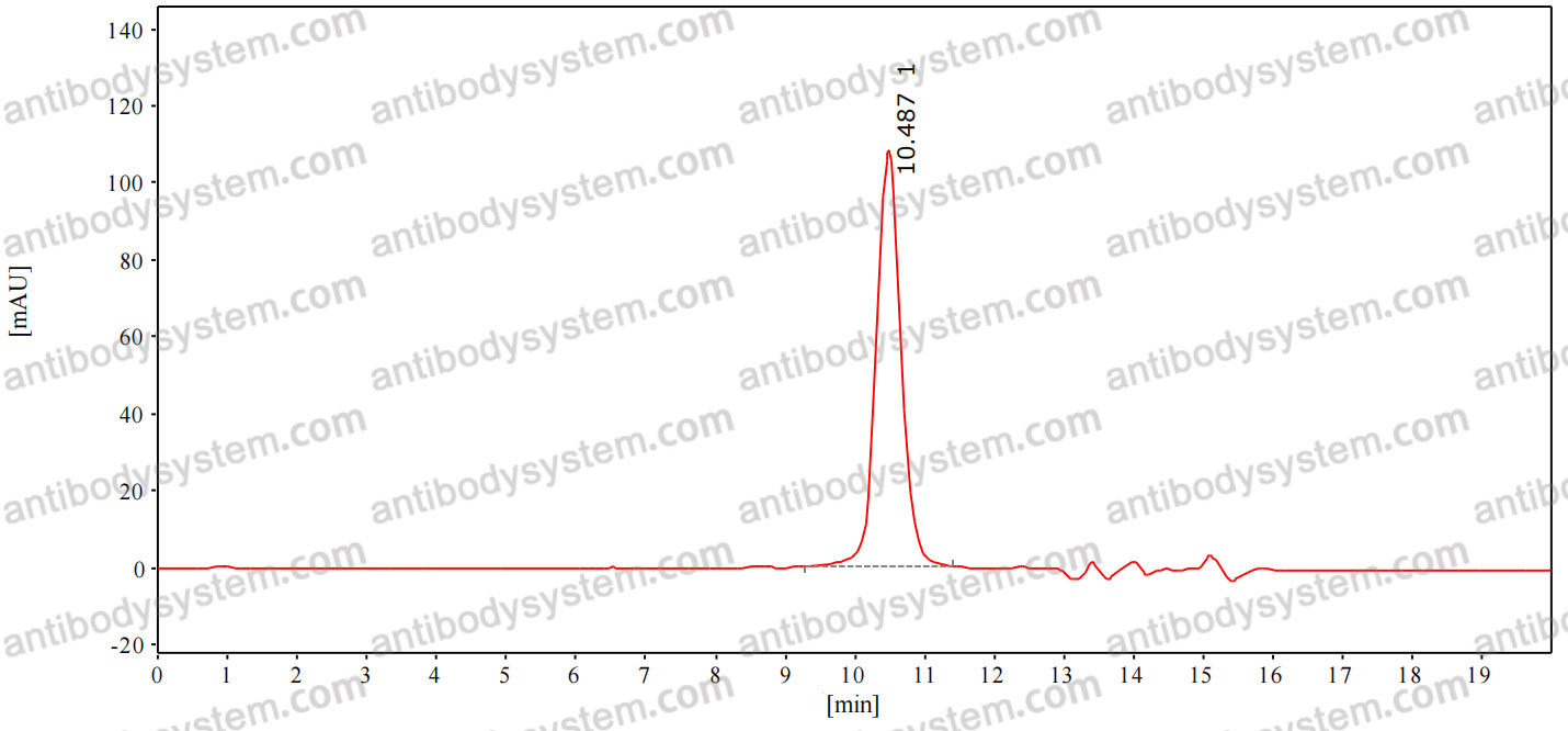 InVivoMAb Anti-hMPV Pre-F Antibody (MPV465)
