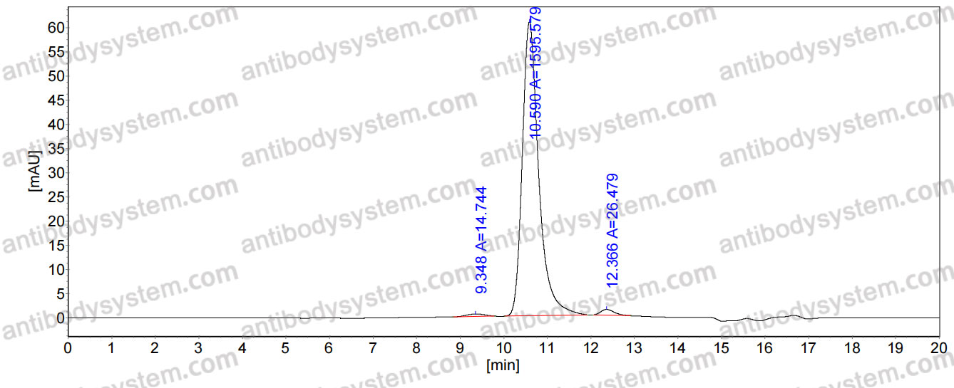 InVivoMAb Anti-ZIKV Envelope protein E Antibody (Z23)-IgG3