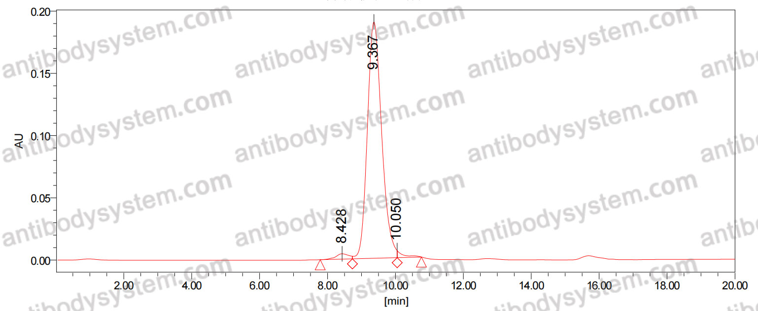 InVivoMAb Anti-ZIKV Envelope protein E Antibody (Z23)-IgG4