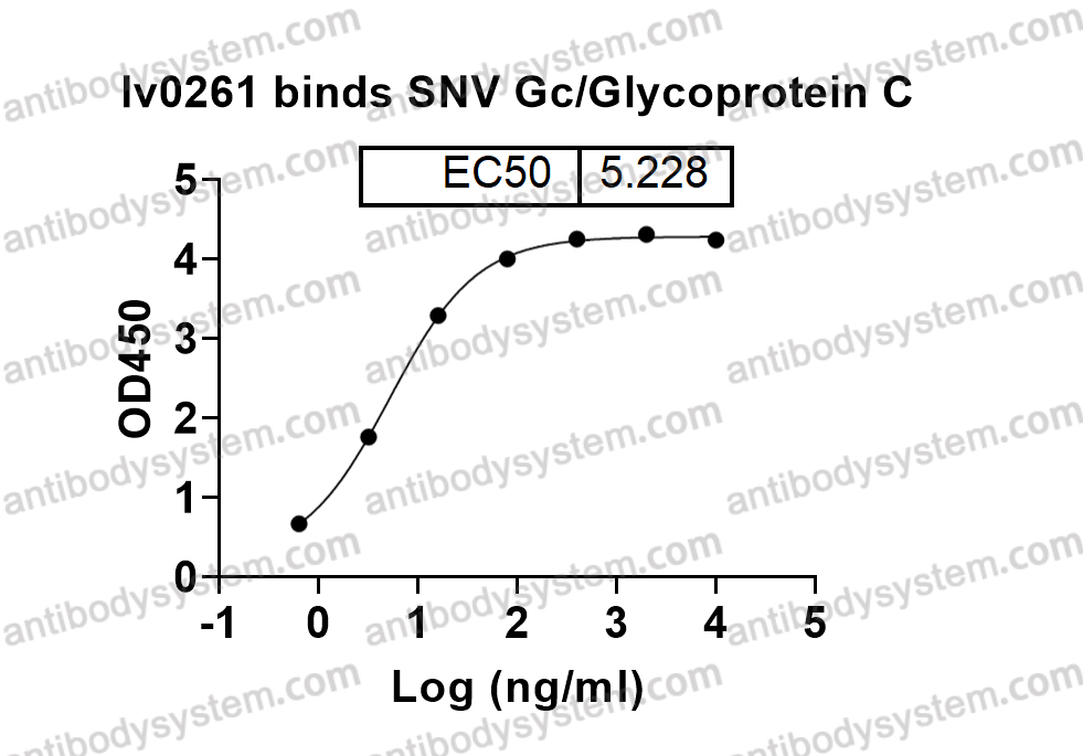 Bioactivity for InVivoMAb Anti-Hantaan virus Glycoprotein C/Gc Broad-Neutralizing Antibody (Iv0261) ?>