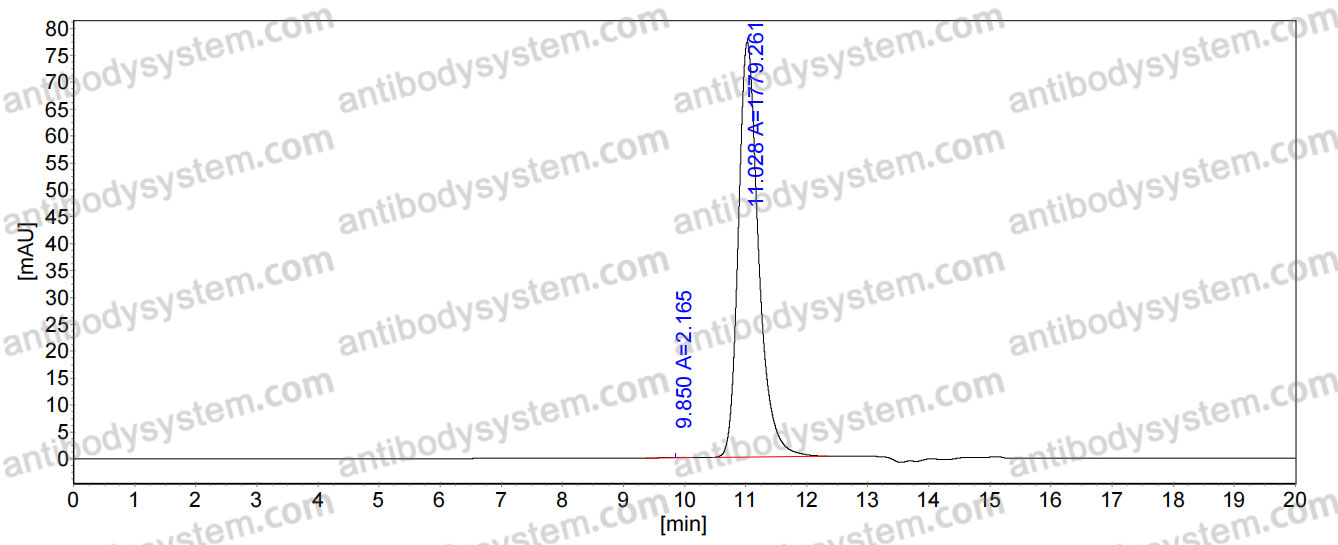 InVivoMAb Anti-Escherichia coli FedF Antibody (F9)