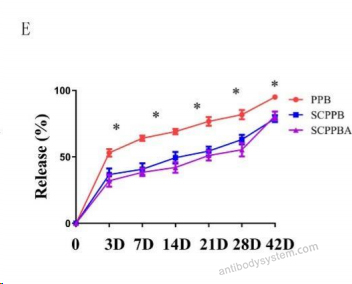 Bioactivity for Recombinant Human BMP2 Protein, N-His ?>
