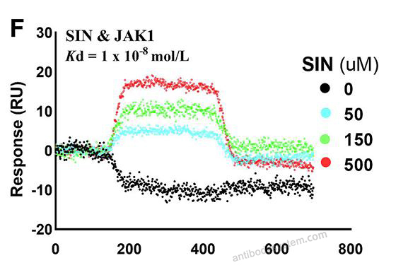 Surface Plasmon Resonance for Recombinant Human JAK1 Protein, N-His ?>
