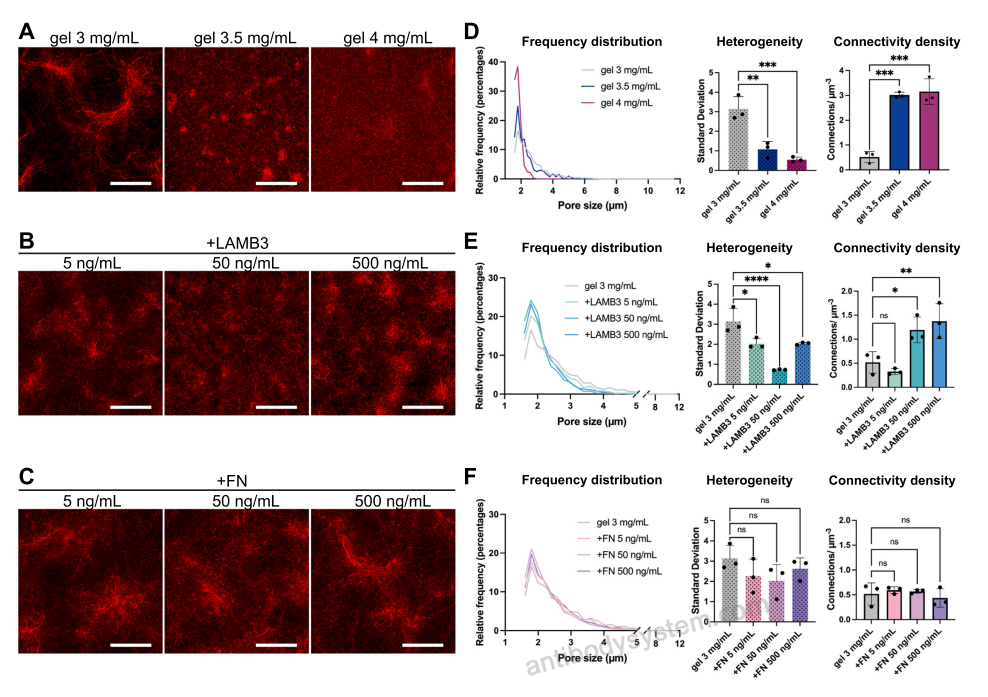 Bioactivity for Recombinant Human LAMB3 Protein, N-His ?>