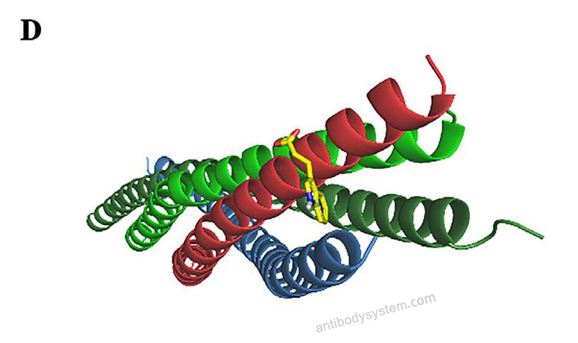 Bioactivity for Recombinant Human VAMP8 Protein, N-His-SUMO & C-Strep ?>