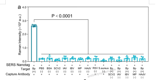 SERS for Recombinant Bordetella pertussis ptxA/PTXS1 Protein, N-His ?>